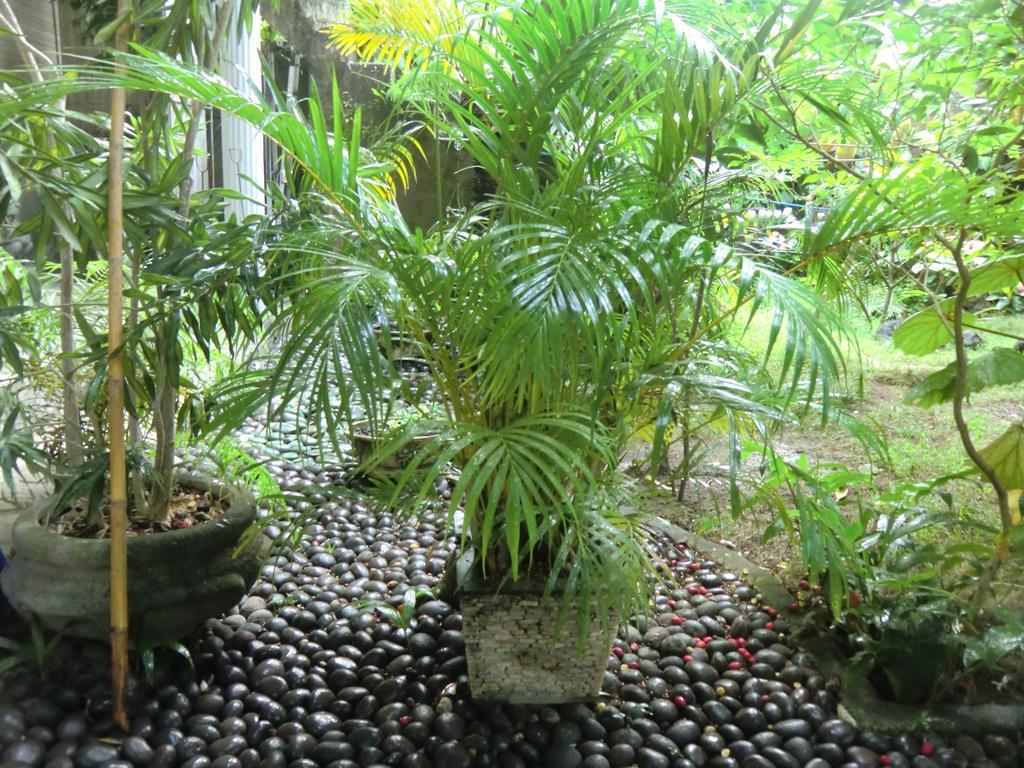 Shady Grove Healing Centre & Homestay W House Rules Please Read Before Booking Sanur  Exterior photo